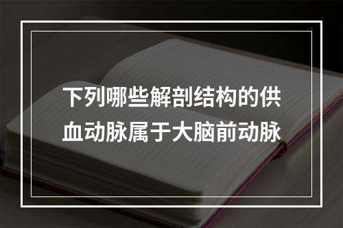 下列哪些解剖结构的供血动脉属于大脑前动脉