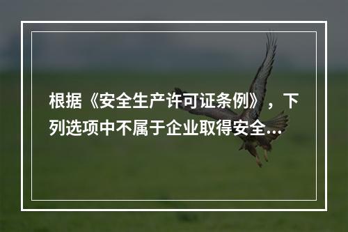 根据《安全生产许可证条例》，下列选项中不属于企业取得安全生产