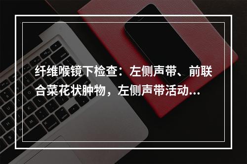 纤维喉镜下检查：左侧声带、前联合菜花状肿物，左侧声带活动受限