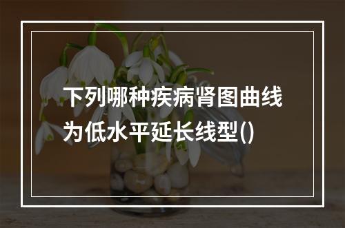 下列哪种疾病肾图曲线为低水平延长线型()