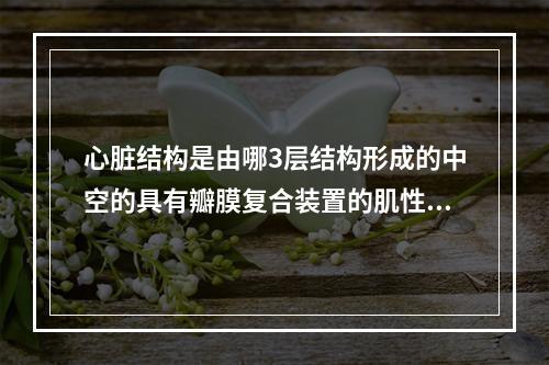 心脏结构是由哪3层结构形成的中空的具有瓣膜复合装置的肌性器官