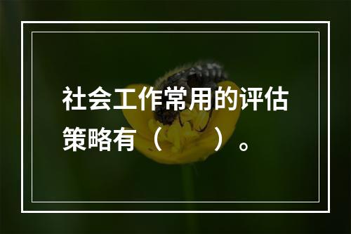 社会工作常用的评估策略有（　　）。