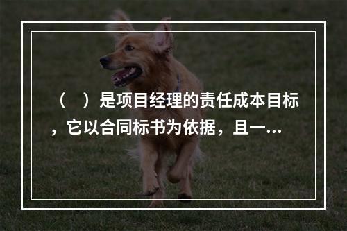 （　）是项目经理的责任成本目标，它以合同标书为依据，且一般情