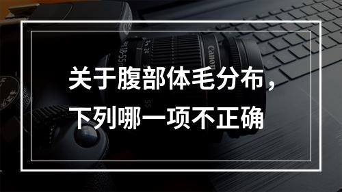 关于腹部体毛分布，下列哪一项不正确