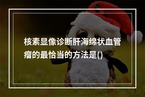 核素显像诊断肝海绵状血管瘤的最恰当的方法是()