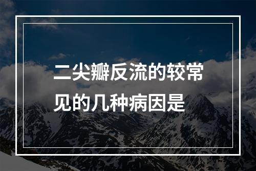 二尖瓣反流的较常见的几种病因是