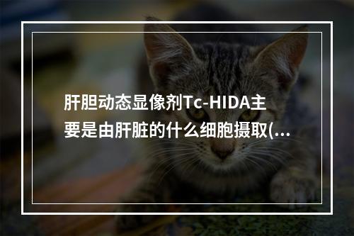 肝胆动态显像剂Tc-HIDA主要是由肝脏的什么细胞摄取()