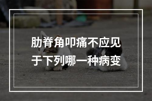 肋脊角叩痛不应见于下列哪一种病变