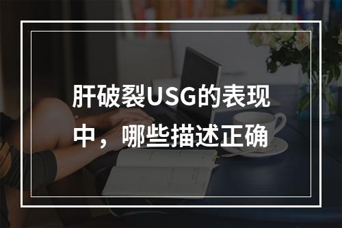 肝破裂USG的表现中，哪些描述正确