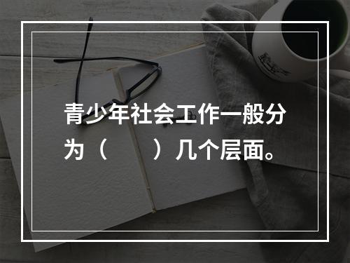 青少年社会工作一般分为（　　）几个层面。