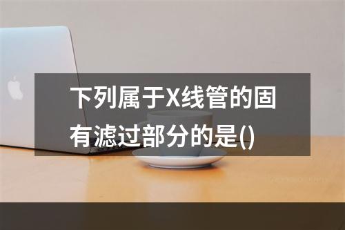 下列属于X线管的固有滤过部分的是()