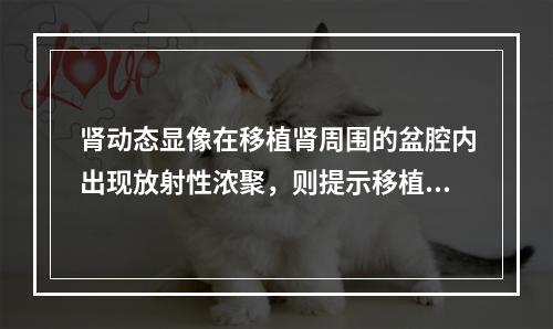 肾动态显像在移植肾周围的盆腔内出现放射性浓聚，则提示移植肾出