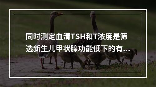 同时测定血清TSH和T浓度是筛选新生儿甲状腺功能低下的有效方