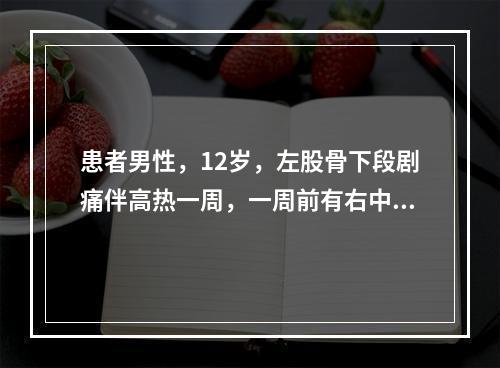 患者男性，12岁，左股骨下段剧痛伴高热一周，一周前有右中耳炎