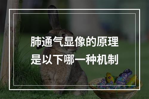 肺通气显像的原理是以下哪一种机制