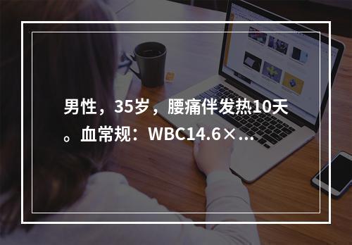 男性，35岁，腰痛伴发热10天。血常规：WBC14.6×10