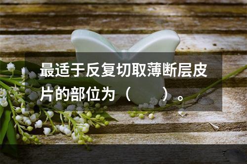 最适于反复切取薄断层皮片的部位为（　　）。