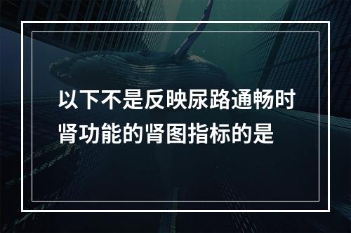 以下不是反映尿路通畅时肾功能的肾图指标的是