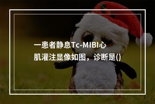 一患者静息Tc-MIBI心肌灌注显像如图，诊断是()