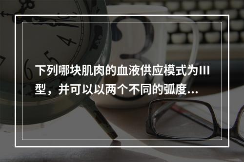 下列哪块肌肉的血液供应模式为Ⅲ型，并可以以两个不同的弧度旋转