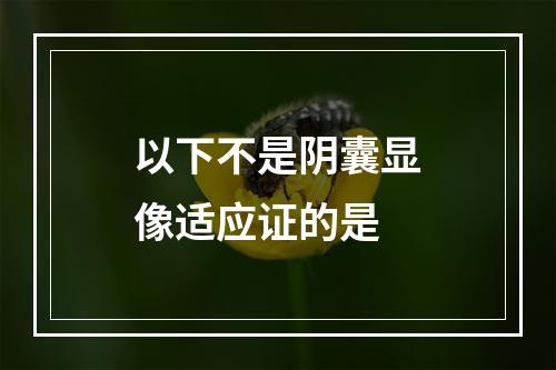 以下不是阴囊显像适应证的是