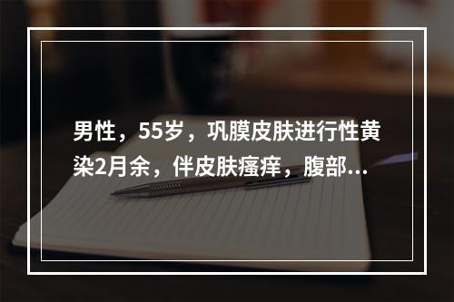 男性，55岁，巩膜皮肤进行性黄染2月余，伴皮肤瘙痒，腹部检查