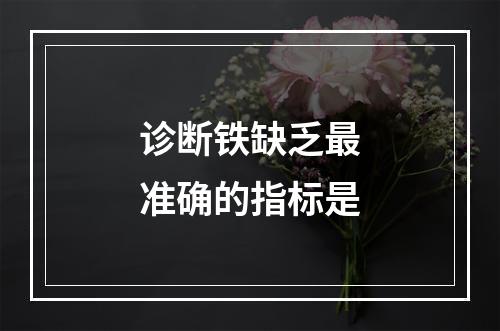 诊断铁缺乏最准确的指标是