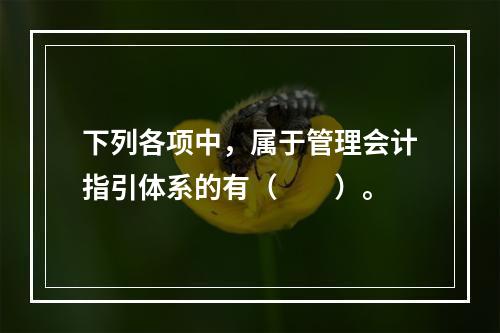 下列各项中，属于管理会计指引体系的有（　　）。