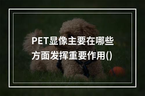 PET显像主要在哪些方面发挥重要作用()