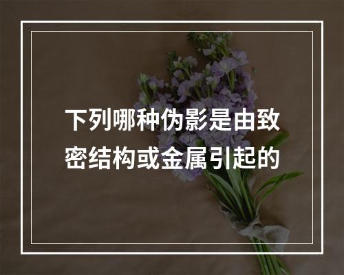 下列哪种伪影是由致密结构或金属引起的