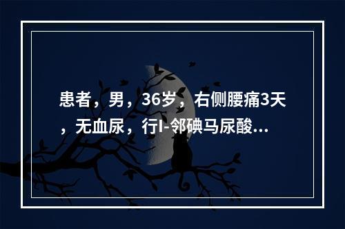 患者，男，36岁，右侧腰痛3天，无血尿，行I-邻碘马尿酸肾图