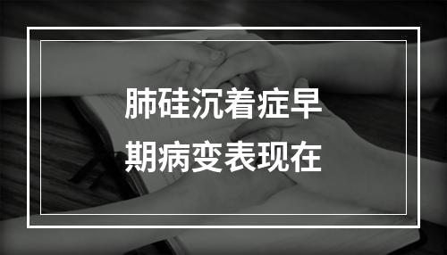 肺硅沉着症早期病变表现在