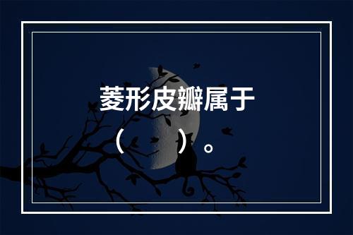 菱形皮瓣属于（　　）。