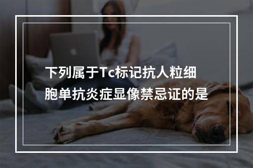 下列属于Tc标记抗人粒细胞单抗炎症显像禁忌证的是