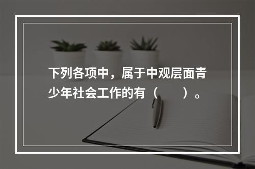 下列各项中，属于中观层面青少年社会工作的有（　　）。