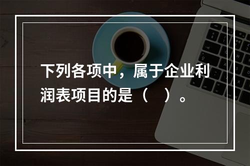 下列各项中，属于企业利润表项目的是（　）。