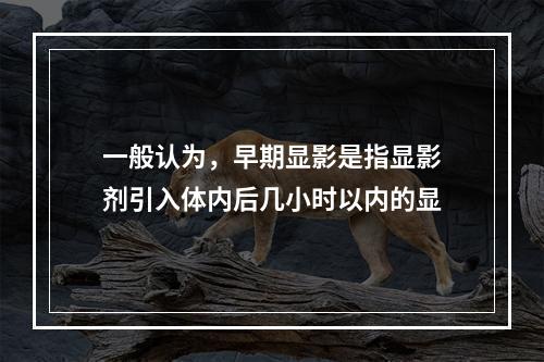 一般认为，早期显影是指显影剂引入体内后几小时以内的显