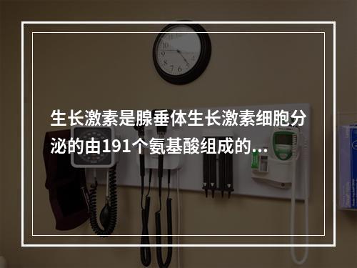 生长激素是腺垂体生长激素细胞分泌的由191个氨基酸组成的蛋白