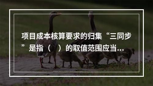 项目成本核算要求的归集“三同步”是指（　）的取值范围应当一致