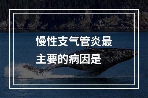 慢性支气管炎最主要的病因是