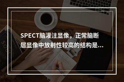 SPECT脑灌注显像，正常脑断层显像中放射性较高的结构是()