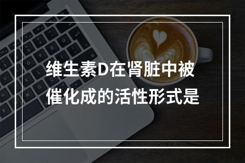 维生素D在肾脏中被催化成的活性形式是