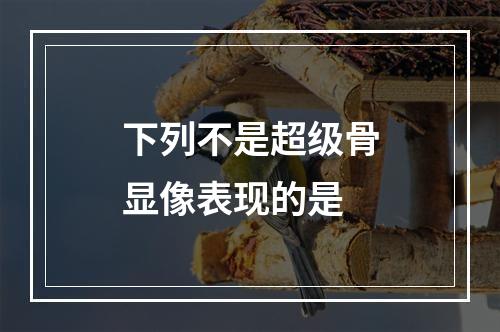 下列不是超级骨显像表现的是