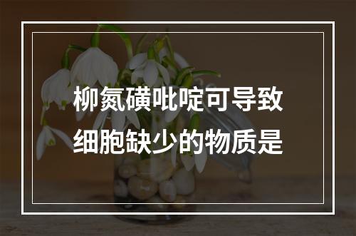 柳氮磺吡啶可导致细胞缺少的物质是