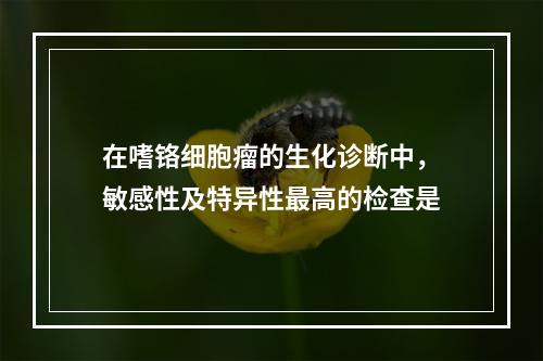 在嗜铬细胞瘤的生化诊断中，敏感性及特异性最高的检查是