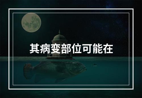 其病变部位可能在