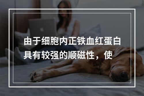 由于细胞内正铁血红蛋白具有较强的顺磁性，使