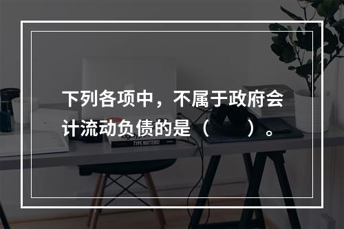 下列各项中，不属于政府会计流动负债的是（　　）。