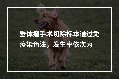 垂体瘤手术切除标本通过免疫染色法，发生率依次为