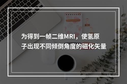 为得到一帧二维MRI，使氢原子出现不同倾倒角度的磁化矢量